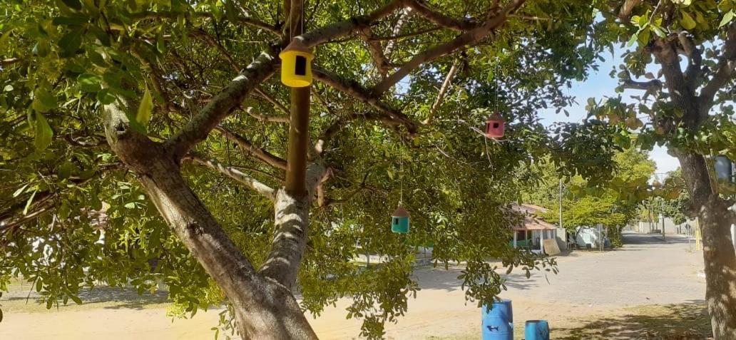 Pousada Das Sereias Caravelas Esterno foto