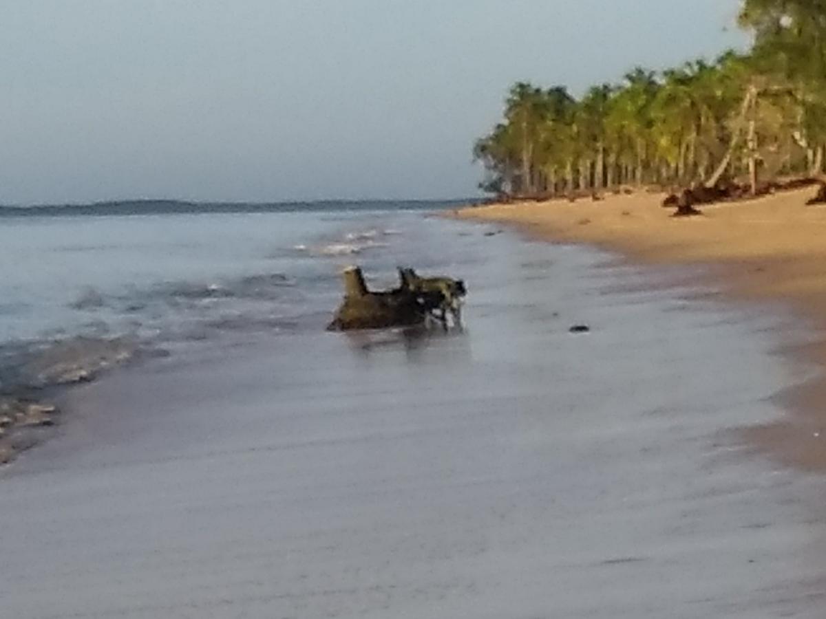 Pousada Das Sereias Caravelas Esterno foto